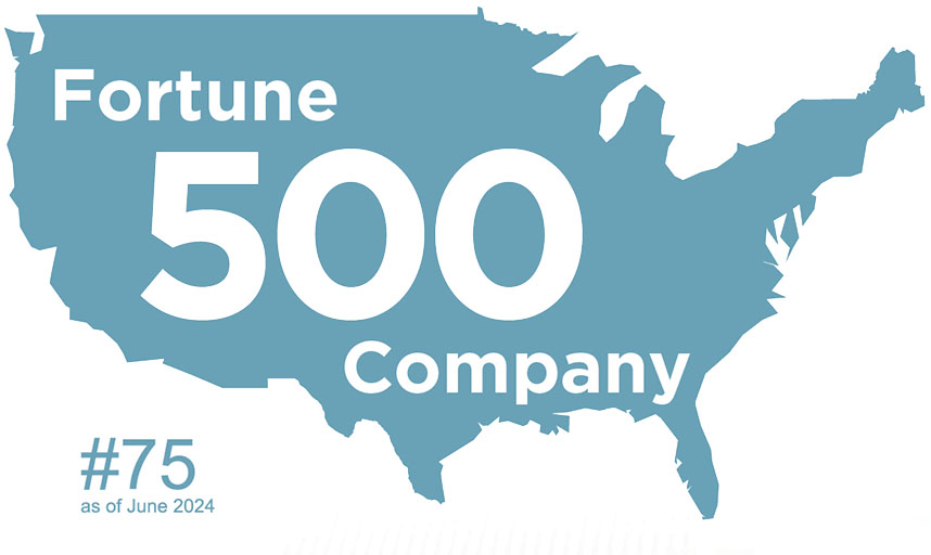 Fortune 500 Company Map